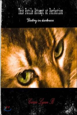 Createspace Independent Publishing Platform This Futile Attempt at Perfection: Poetry in darkness