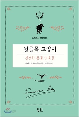 뒷골목 고양이