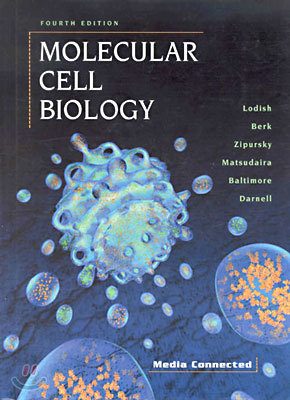 Molecular Cell Biology,4th edition