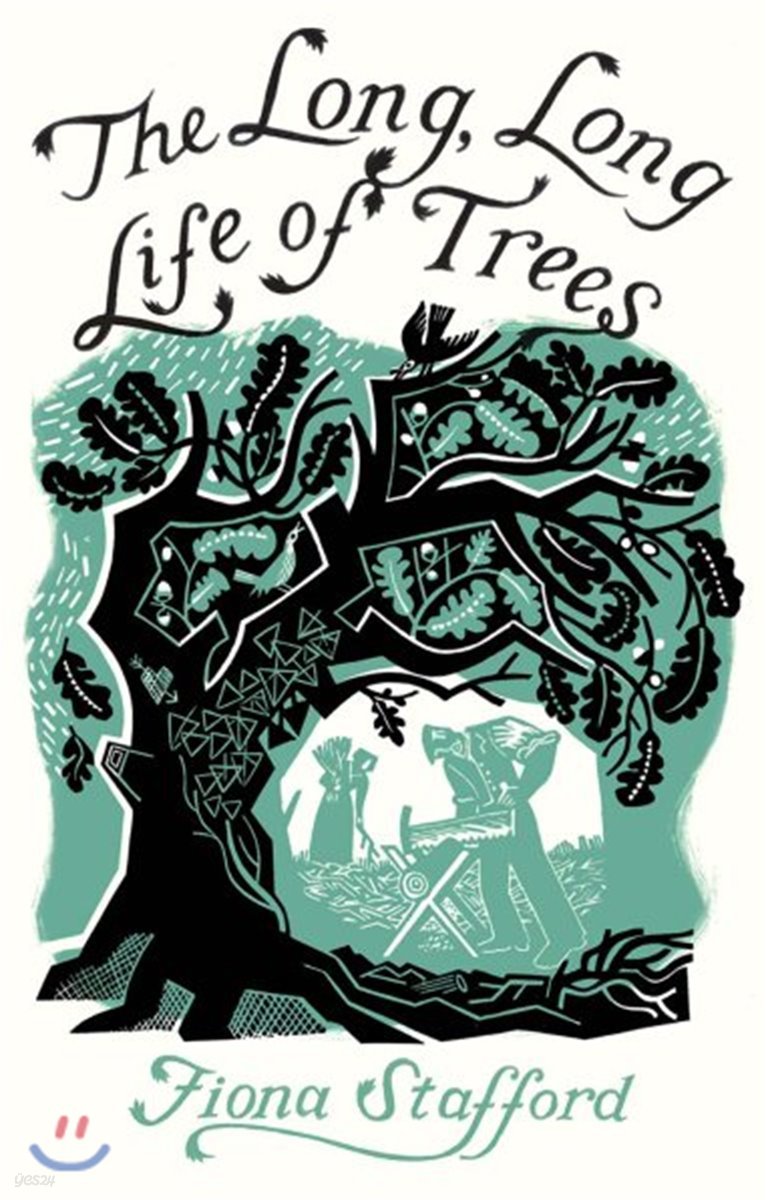 The Long, Long Life of Trees
