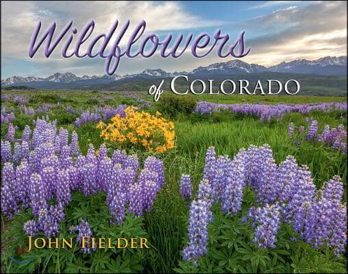 Wildflowers of Colorado