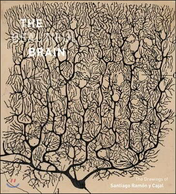 The Beautiful Brain: The Drawings of Santiago Ramon Y Cajal