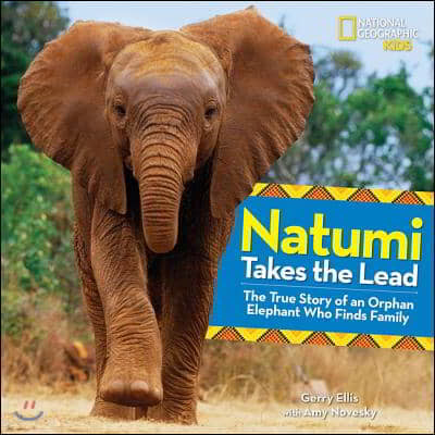 Natumi Takes the Lead: The True Story of an Orphan Elephant Who Finds Family