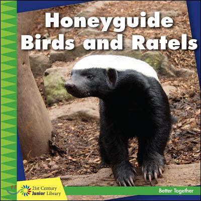 Honeyguide Birds and Ratels