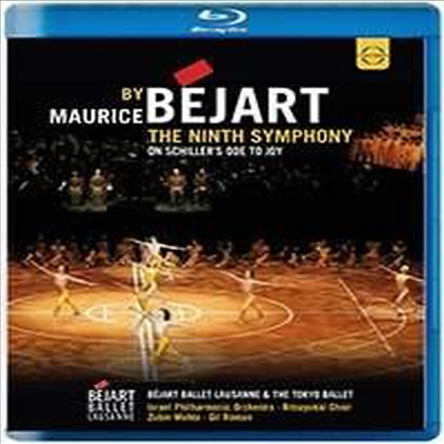 亥:  9 'â' - 𸮽 ڸ ȹ  ߷ (The Ninth Symphony by Maurice Bejart) (Blu-ray)(ѱڸ) (2015) - Zubin Mehta