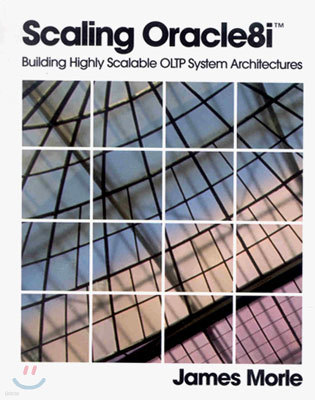 Scaling Oracle8i(tm): Building Highly Scalable Oltp System Architectures [With CDROM]