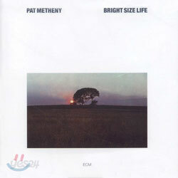 Pat Metheny - Bright Size Life