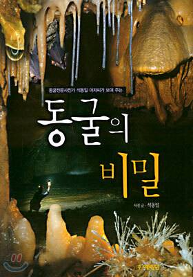 동굴의 비밀