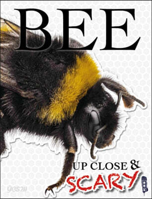 Up Close & Scary Bee
