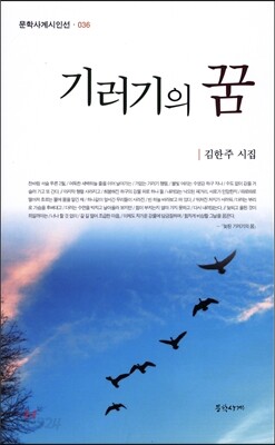 기러기의 꿈