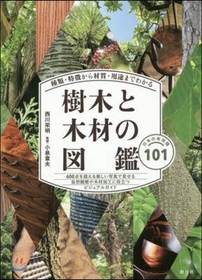 樹木と木材の圖鑑－日本の有用種101