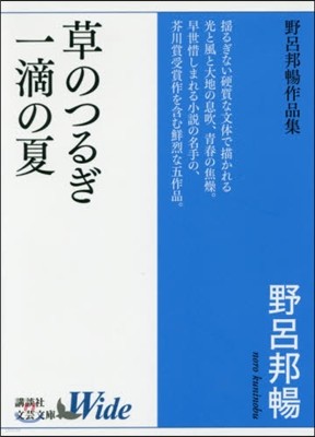 草のつるぎ/一滴の夏 野呂邦暢作品集