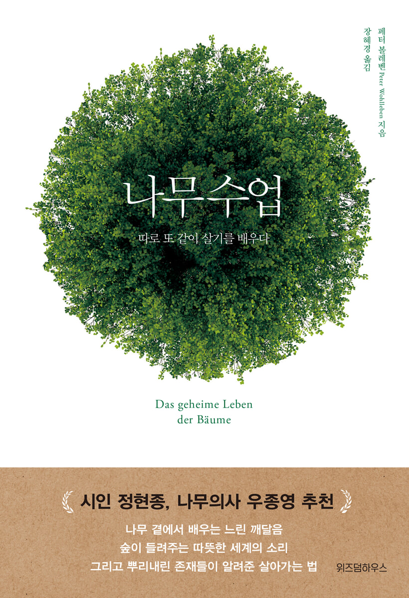 나무 수업