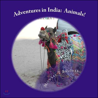 Adventures in India: Animals