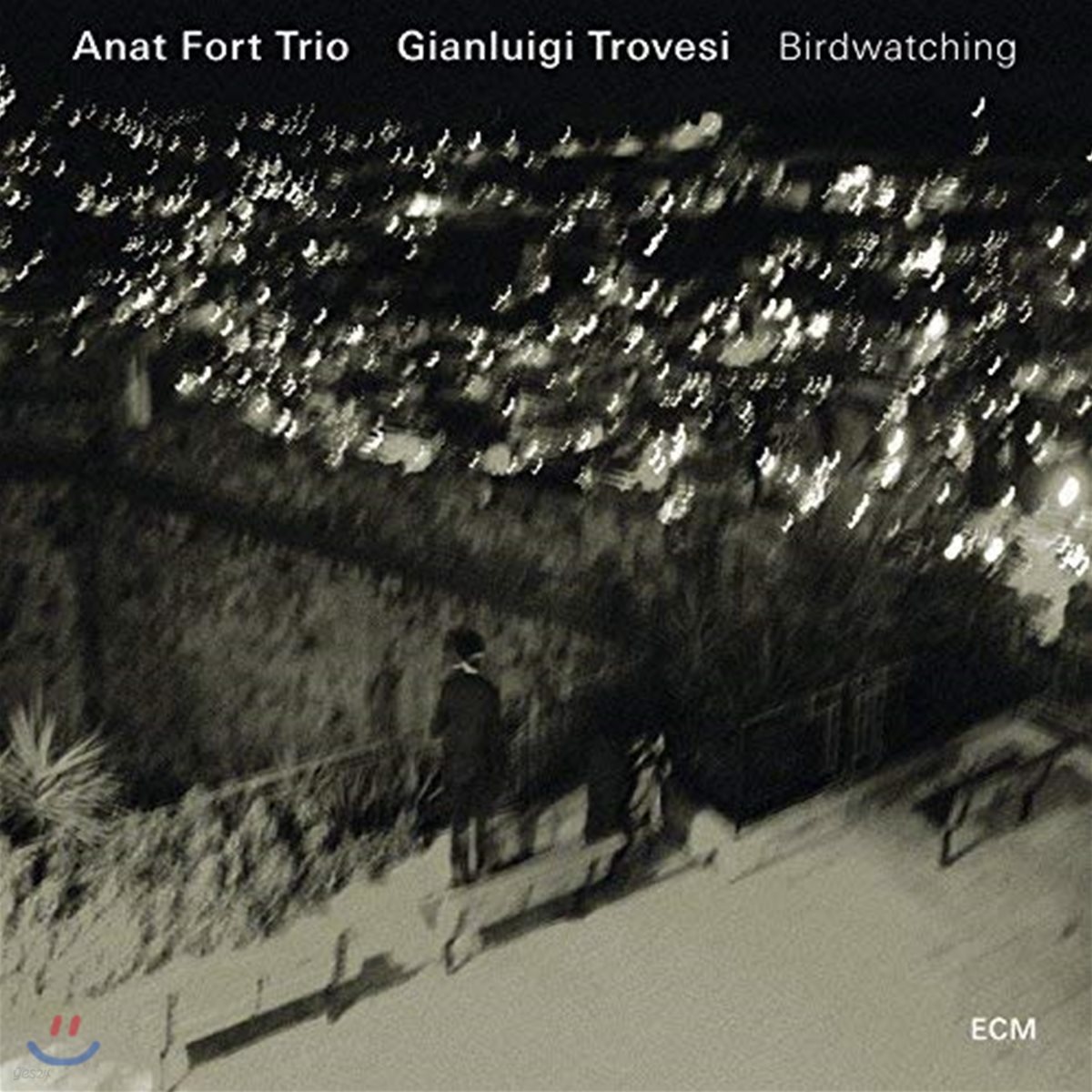 Anat Fort Trio, Gianluigi Trovesi - Birdwatching