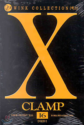X 엑스 16