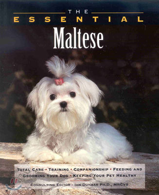 The Essential Maltese (Paperback)