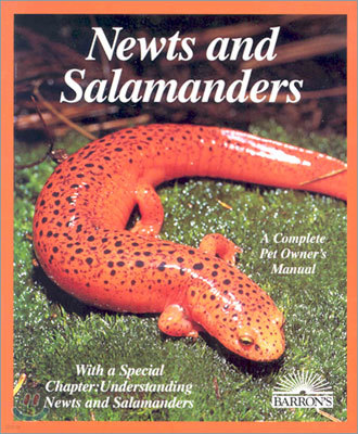 Newts and Salamanders (Paperback)