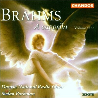 Stefan Parkman 브람스: 무반주 합창곡집 [아카펠라] 1권 - 모테트, 마리아의 노래 (Brahms: A Cappella Vol.1 - Motets Opp.29, 74, 110, Marienlieder Op.22)