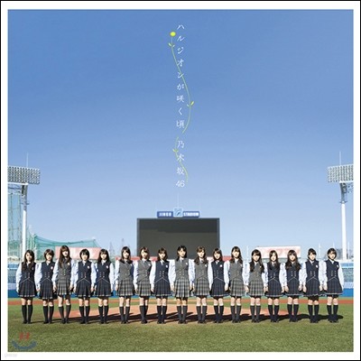 Nogizaka46 (ī46) -    (ϫ뫸?)