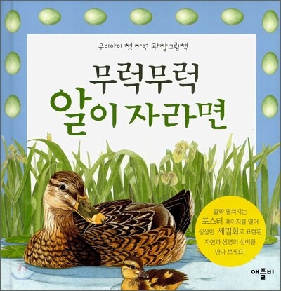 도서명 표기