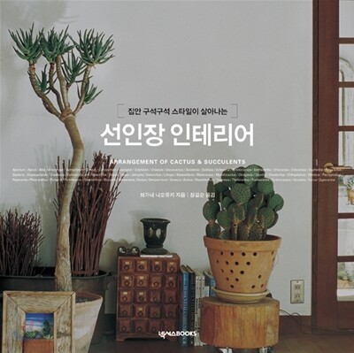 선인장 인테리어