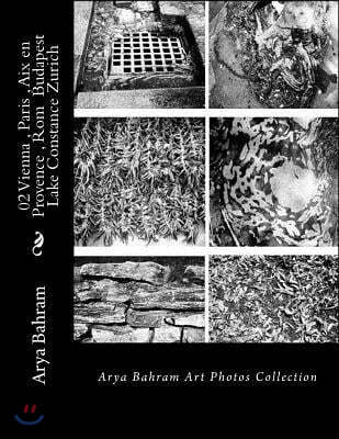 02 Vienna, Paris, AIX En Provence, ROM Budapest, Lake Constance, Zurich: Arya Bahram Art Photos Collection