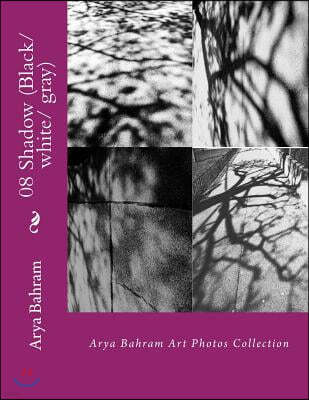 08 Shadow (Black/white/ gray): Arya Bahram Art Photos Collection