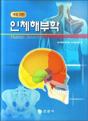 인체해부학