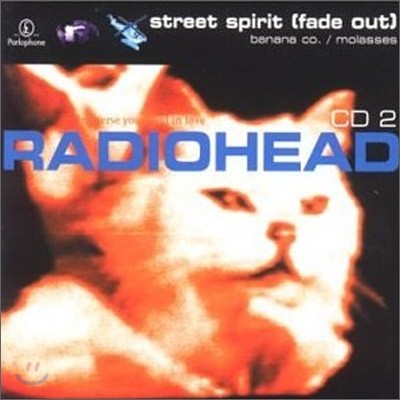 Radiohead - Street Spirit (Fade Out) PT.2