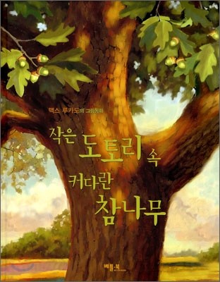 작은 도토리 속 커다란 참나무