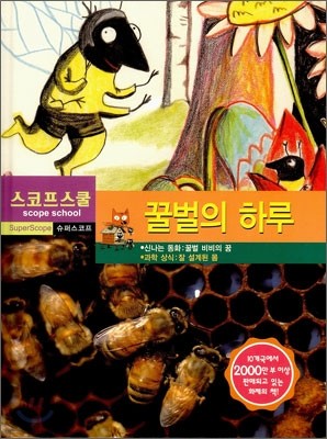 꿀벌의 하루