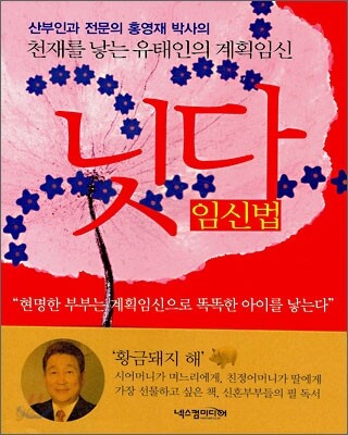 닛다 임신법