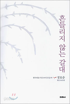 흔들리지 않는 갈대