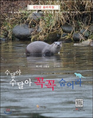 수달아 수달아 꼭꼭 숨어라