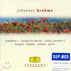 PanoramaJohannes Brahms 