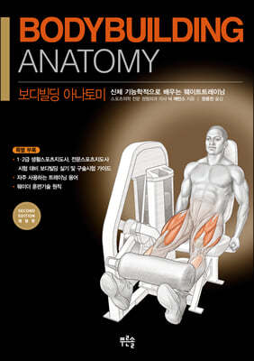 Bodybuilding Anatomy  Ƴ