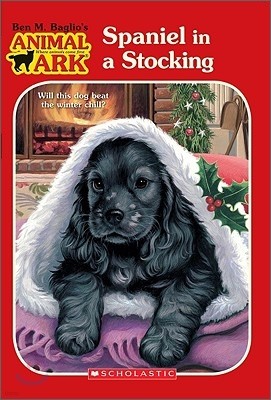 Spaniel in a Stocking