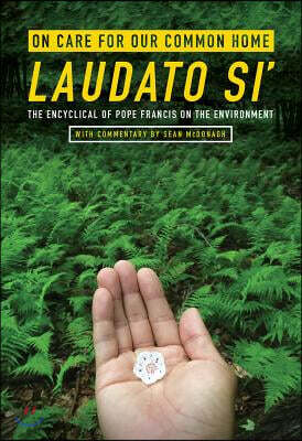 On Care for Our Common Home, Laudato Si': The Encyclical of Pope Francis on the Environment with Commentary by Sean McDonagh