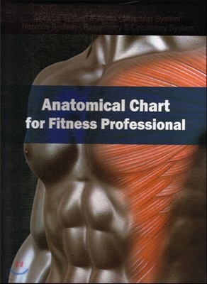 Anatomical Chart for Fitness Professional 