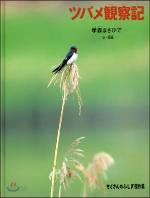 ツバメ觀察記