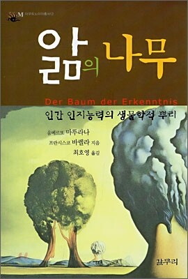 앎의 나무