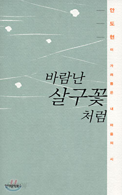바람난 살구꽃처럼