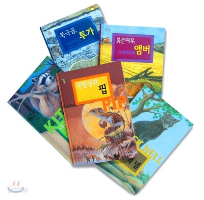 푸른숲 야생동물 이야기 세트