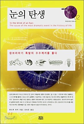 눈의 탄생