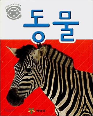 동물