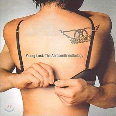 Aerosmith - Young Lust: The Aerosmith Anthology (Best Of Best ķ Vol.1)