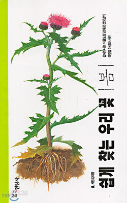 쉽게 찾는 우리 꽃