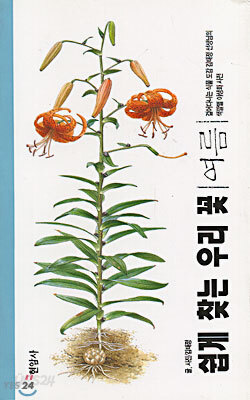 쉽게 찾는 우리 꽃
