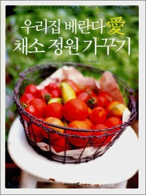 우리집 베란다 愛 채소 정원 가꾸기